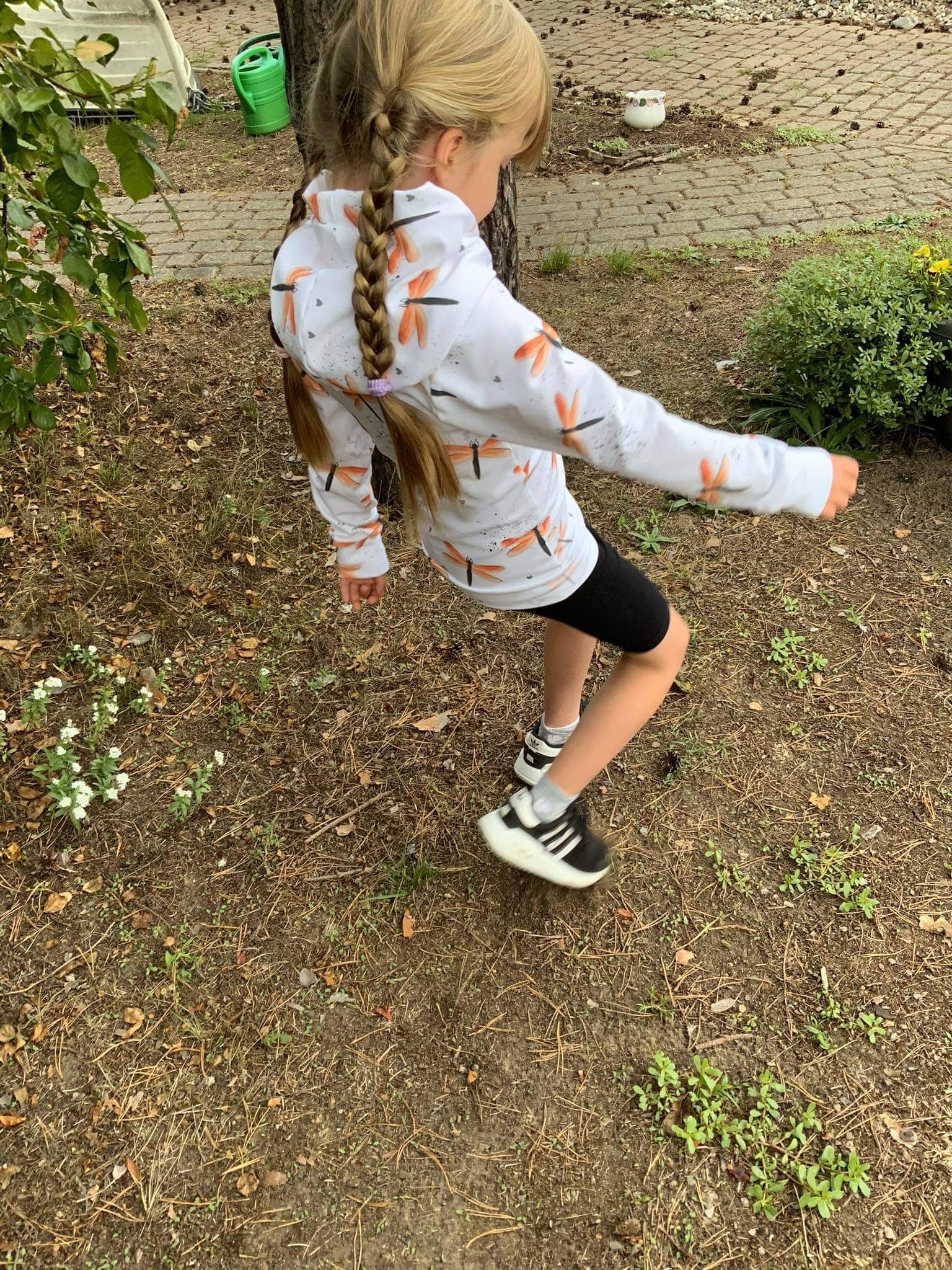 Libellen Eigenproduktion